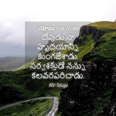 Picture 04 - యోబు 23:16 TELIRV - దేవుడు నా - Bible Verse Picture