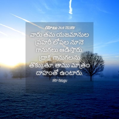 Picture 04 - యోబు 24:11 TELIRV - వారు తమ యజమానుల - Bible Verse Picture