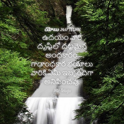 Picture 04 - యోబు 24:17 TELIRV - ఉదయం వారి - Bible Verse Picture