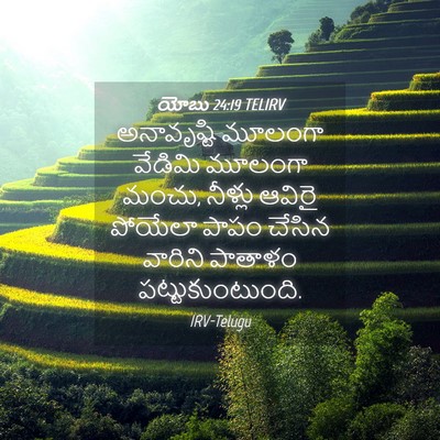 Picture 04 - యోబు 24:19 TELIRV - అనావృష్టి మూలంగా - Bible Verse Picture
