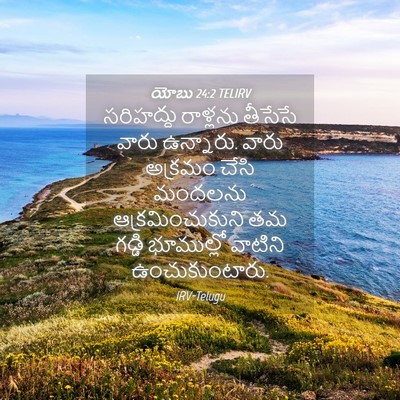 Picture 04 - యోబు 24:2 TELIRV - సరిహద్దు రాళ్లను - Bible Verse Picture