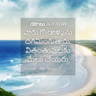 Picture 04 - యోబు 24:21 TELIRV - వారు గొడ్రాళ్ళను - Bible Verse Picture