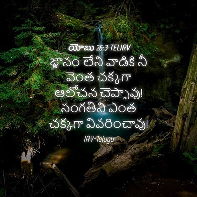 Picture 04 - యోబు 26:3 TELIRV - జ్ఞానం లేని - Bible Verse Picture