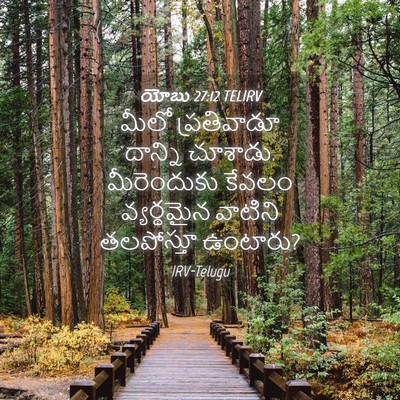 Picture 04 - యోబు 27:12 TELIRV - మీలో ప్రతివాడూ - Bible Verse Picture