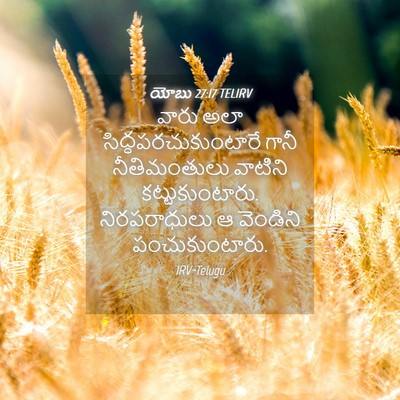 Picture 04 - యోబు 27:17 TELIRV - వారు అలా - Bible Verse Picture