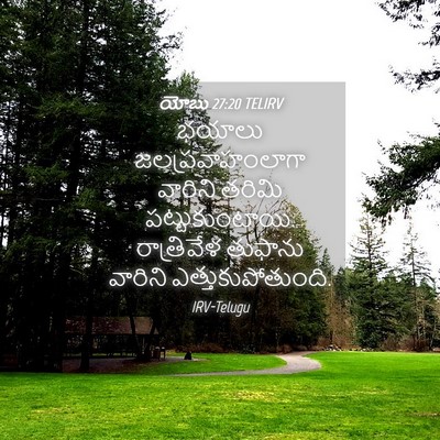 Picture 04 - యోబు 27:20 TELIRV - భయాలు - Bible Verse Picture