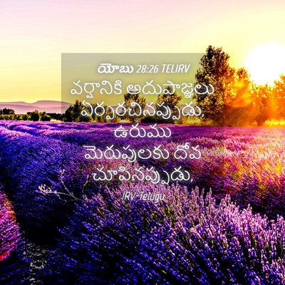 Picture 04 - యోబు 28:26 TELIRV - వర్షానికి - Bible Verse Picture