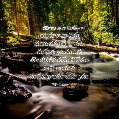 Picture 04 - యోబు 28:28 TELIRV - యెహోవా పట్ల - Bible Verse Picture