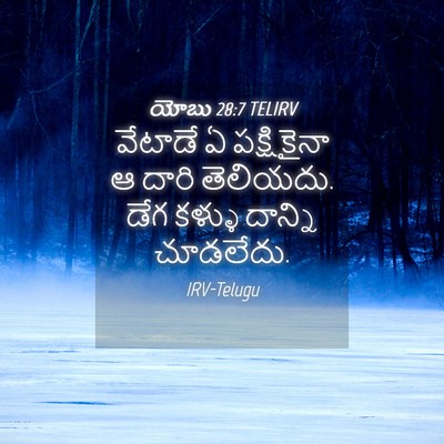Picture 04 - యోబు 28:7 TELIRV - వేటాడే ఏ - Bible Verse Picture