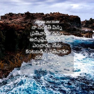 Picture 04 - యోబు 29:11 TELIRV - నా సంగతి విన్న - Bible Verse Picture