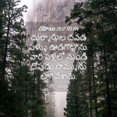 Picture 04 - యోబు 29:17 TELIRV - దుర్మార్గుల దవడ - Bible Verse Picture