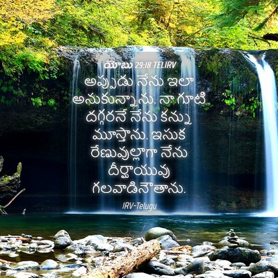 Picture 04 - యోబు 29:18 TELIRV - అప్పుడు నేను ఇలా - Bible Verse Picture
