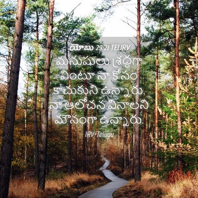Picture 04 - యోబు 29:21 TELIRV - మనుషులు శ్రద్ధగా - Bible Verse Picture