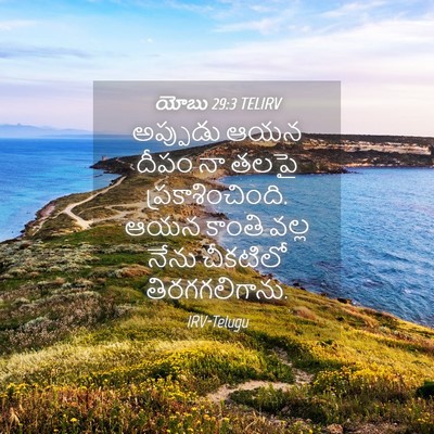 Picture 04 - యోబు 29:3 TELIRV - అప్పుడు ఆయన దీపం - Bible Verse Picture