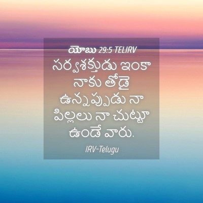Picture 04 - యోబు 29:5 TELIRV - సర్వశక్తుడు ఇంకా - Bible Verse Picture
