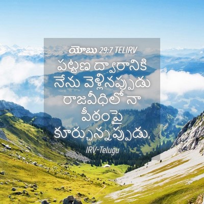 Picture 04 - యోబు 29:7 TELIRV - పట్టణ ద్వారానికి - Bible Verse Picture