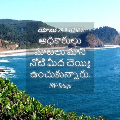 Picture 04 - యోబు 29:9 TELIRV - అధికారులు మాటలు - Bible Verse Picture