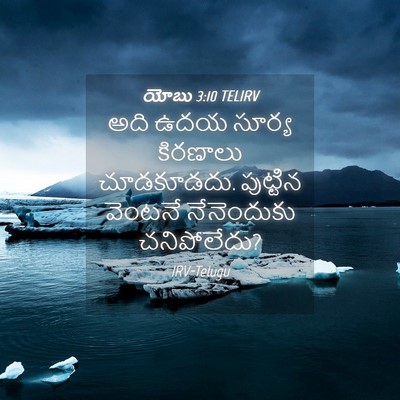 Picture 04 - యోబు 3:10 TELIRV - అది ఉదయ సూర్య - Bible Verse Picture