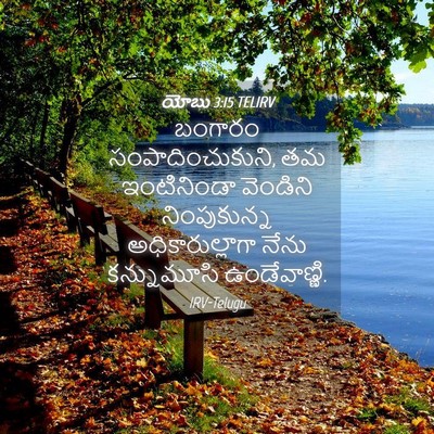Picture 04 - యోబు 3:15 TELIRV - బంగారం - Bible Verse Picture