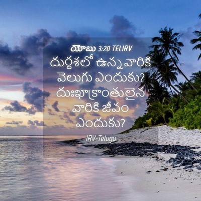 Picture 04 - యోబు 3:20 TELIRV - దుర్దశలో - Bible Verse Picture
