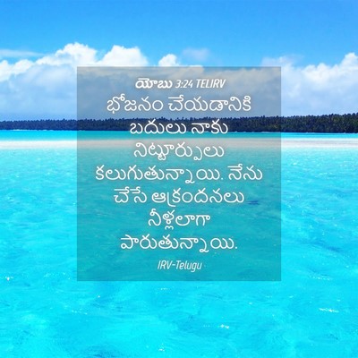Picture 04 - యోబు 3:24 TELIRV - భోజనం చేయడానికి - Bible Verse Picture