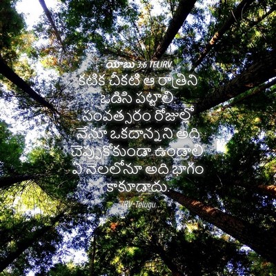 Picture 04 - యోబు 3:6 TELIRV - కటిక చీకటి ఆ - Bible Verse Picture