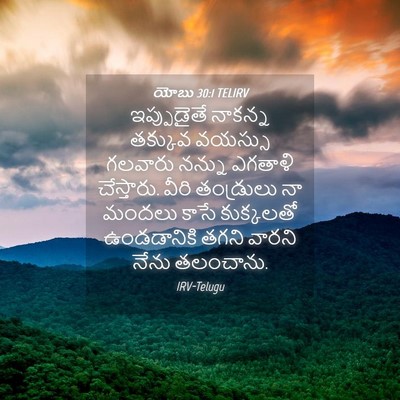 Picture 04 - యోబు 30:1 TELIRV - ఇప్పుడైతే నాకన్న - Bible Verse Picture