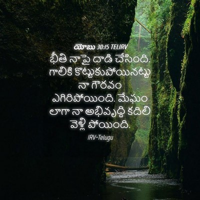Picture 04 - యోబు 30:15 TELIRV - భీతి నాపై దాడి - Bible Verse Picture