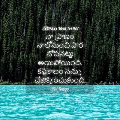 Picture 04 - యోబు 30:16 TELIRV - నా ప్రాణం - Bible Verse Picture