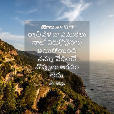 Picture 04 - యోబు 30:17 TELIRV - రాత్రివేళ నా - Bible Verse Picture