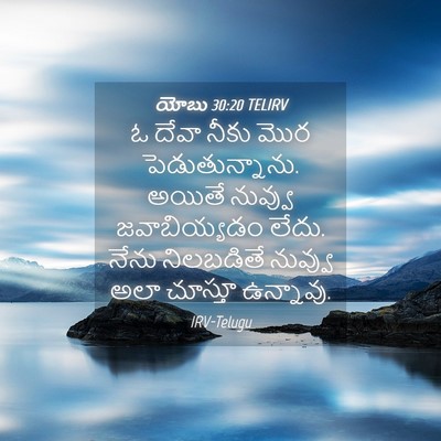 Picture 04 - యోబు 30:20 TELIRV - ఓ దేవా నీకు మొర - Bible Verse Picture
