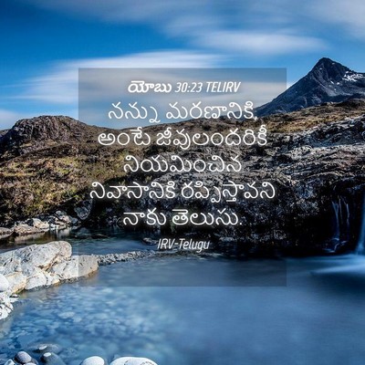 Picture 04 - యోబు 30:23 TELIRV - నన్ను మరణానికి, - Bible Verse Picture