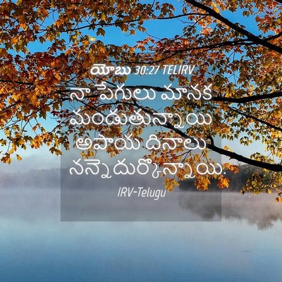 Picture 04 - యోబు 30:27 TELIRV - నా పేగులు మానక - Bible Verse Picture