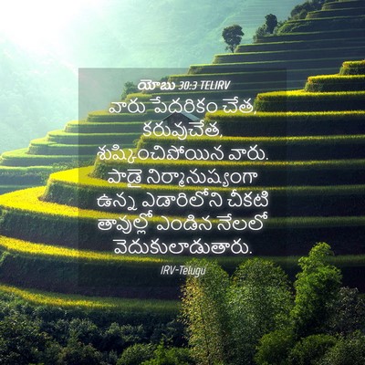 Picture 04 - యోబు 30:3 TELIRV - వారు పేదరికం చేత, - Bible Verse Picture