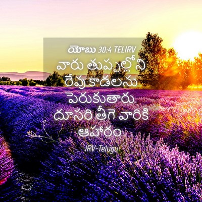 Picture 04 - యోబు 30:4 TELIRV - వారు తుప్పల్లోని - Bible Verse Picture