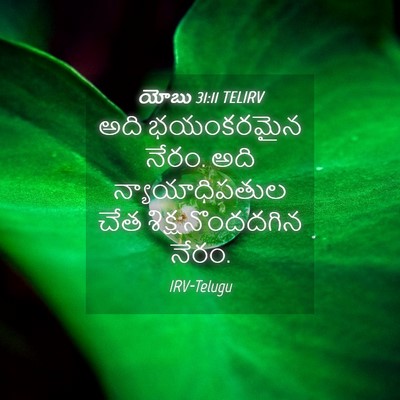 Picture 04 - యోబు 31:11 TELIRV - అది భయంకరమైన నేరం. - Bible Verse Picture
