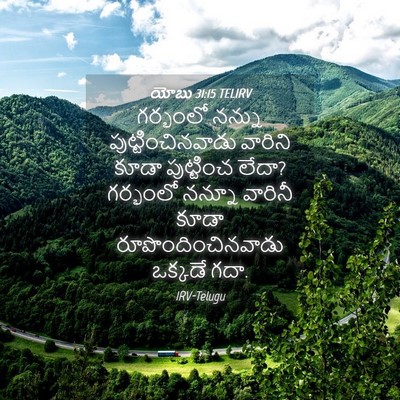 Picture 04 - యోబు 31:15 TELIRV - గర్భంలో నన్ను - Bible Verse Picture