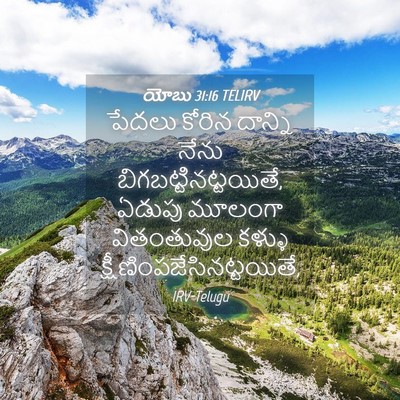 Picture 04 - యోబు 31:16 TELIRV - పేదలు కోరిన - Bible Verse Picture