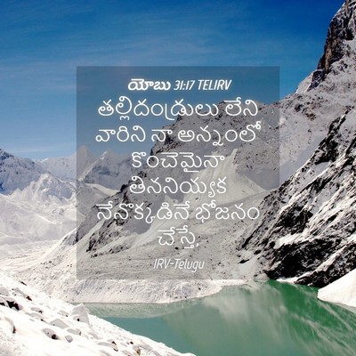 Picture 04 - యోబు 31:17 TELIRV - తల్లిదండ్రులు - Bible Verse Picture