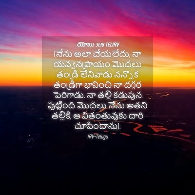 Picture 04 - యోబు 31:18 TELIRV - (నేను అలా చేయలేదు, - Bible Verse Picture