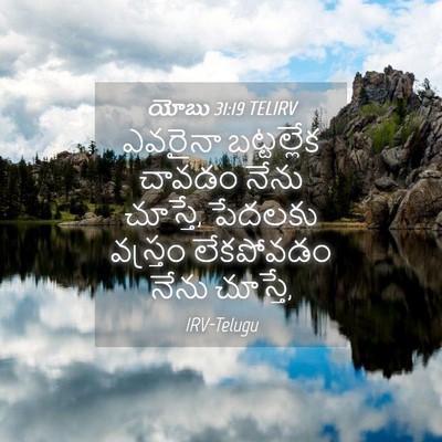 Picture 04 - యోబు 31:19 TELIRV - ఎవరైనా బట్టల్లేక - Bible Verse Picture