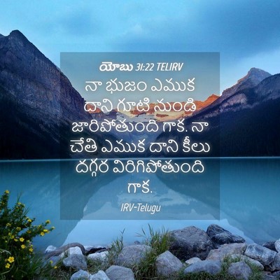 Picture 04 - యోబు 31:22 TELIRV - నా భుజం ఎముక దాని - Bible Verse Picture