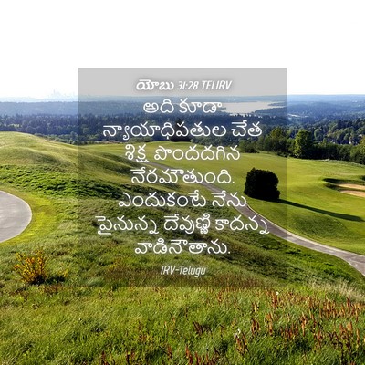 Picture 04 - యోబు 31:28 TELIRV - అది కూడా - Bible Verse Picture
