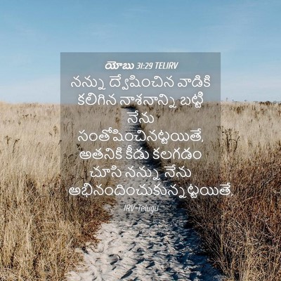 Picture 04 - యోబు 31:29 TELIRV - నన్ను ద్వేషించిన - Bible Verse Picture