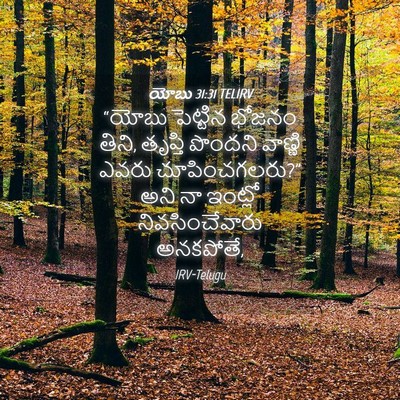 Picture 04 - యోబు 31:31 TELIRV - “యోబు పెట్టిన - Bible Verse Picture
