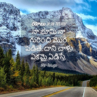 Picture 04 - యోబు 31:38 TELIRV - నా భూమి నా గురించి - Bible Verse Picture
