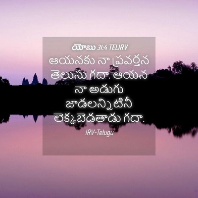 Picture 04 - యోబు 31:4 TELIRV - ఆయనకు నా ప్రవర్తన - Bible Verse Picture