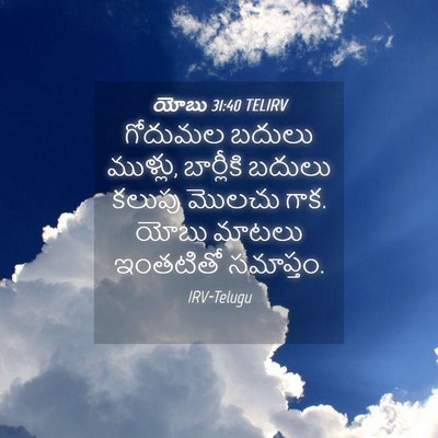 Picture 04 - యోబు 31:40 TELIRV - గోదుమల బదులు - Bible Verse Picture