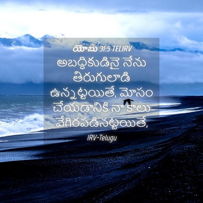 Picture 04 - యోబు 31:5 TELIRV - అబద్ధికుడినై నేను - Bible Verse Picture