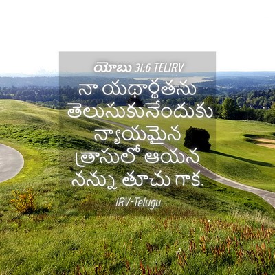 Picture 04 - యోబు 31:6 TELIRV - నా యథార్థతను - Bible Verse Picture